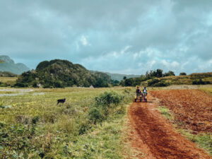 cuba vinales