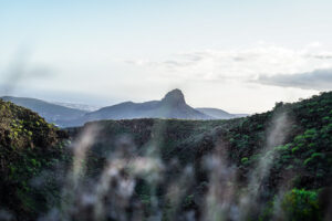 gran canaria digital nomad